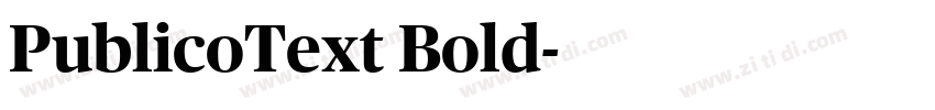 PublicoText Bold字体转换